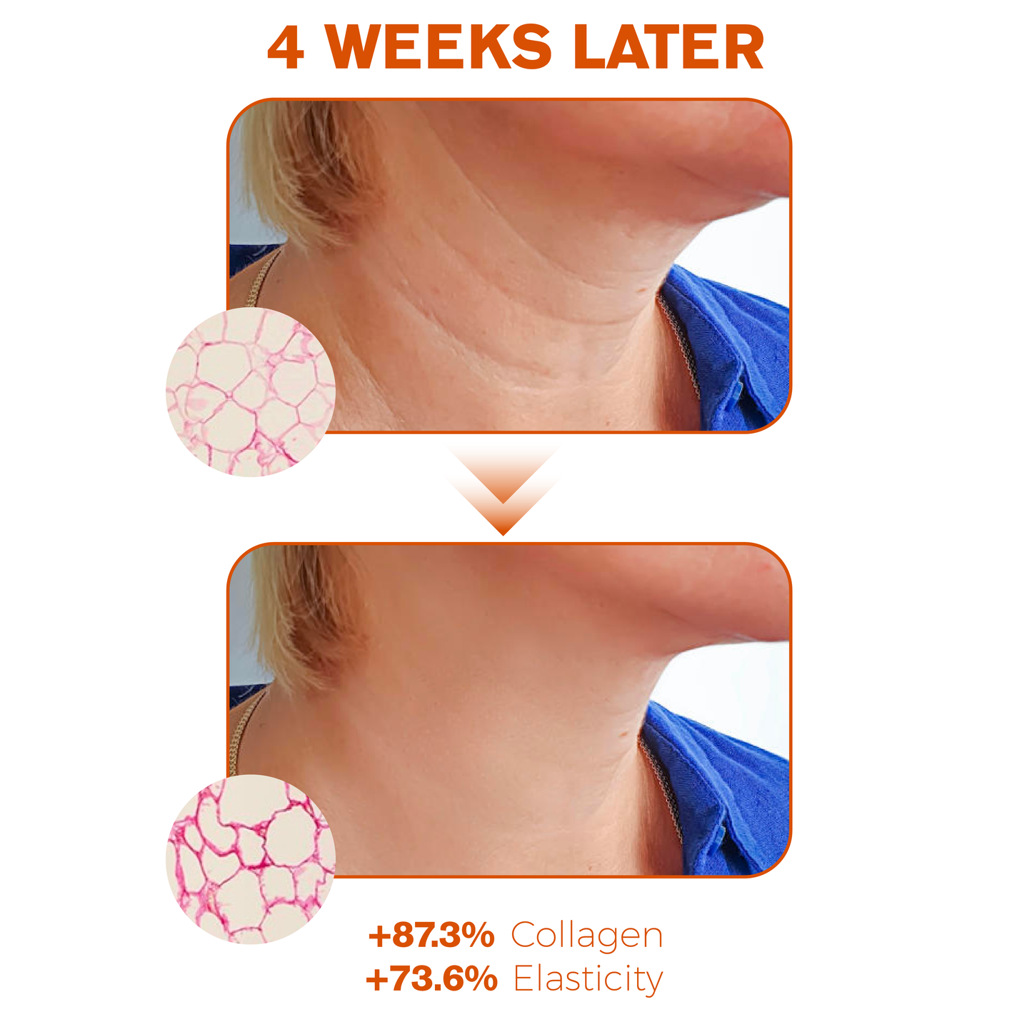 ATTDX AntiAging CollagenPeptide Serum