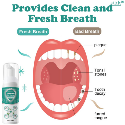 ATTDX 360° Fresh Mist Deep Cleansing Mouthwash