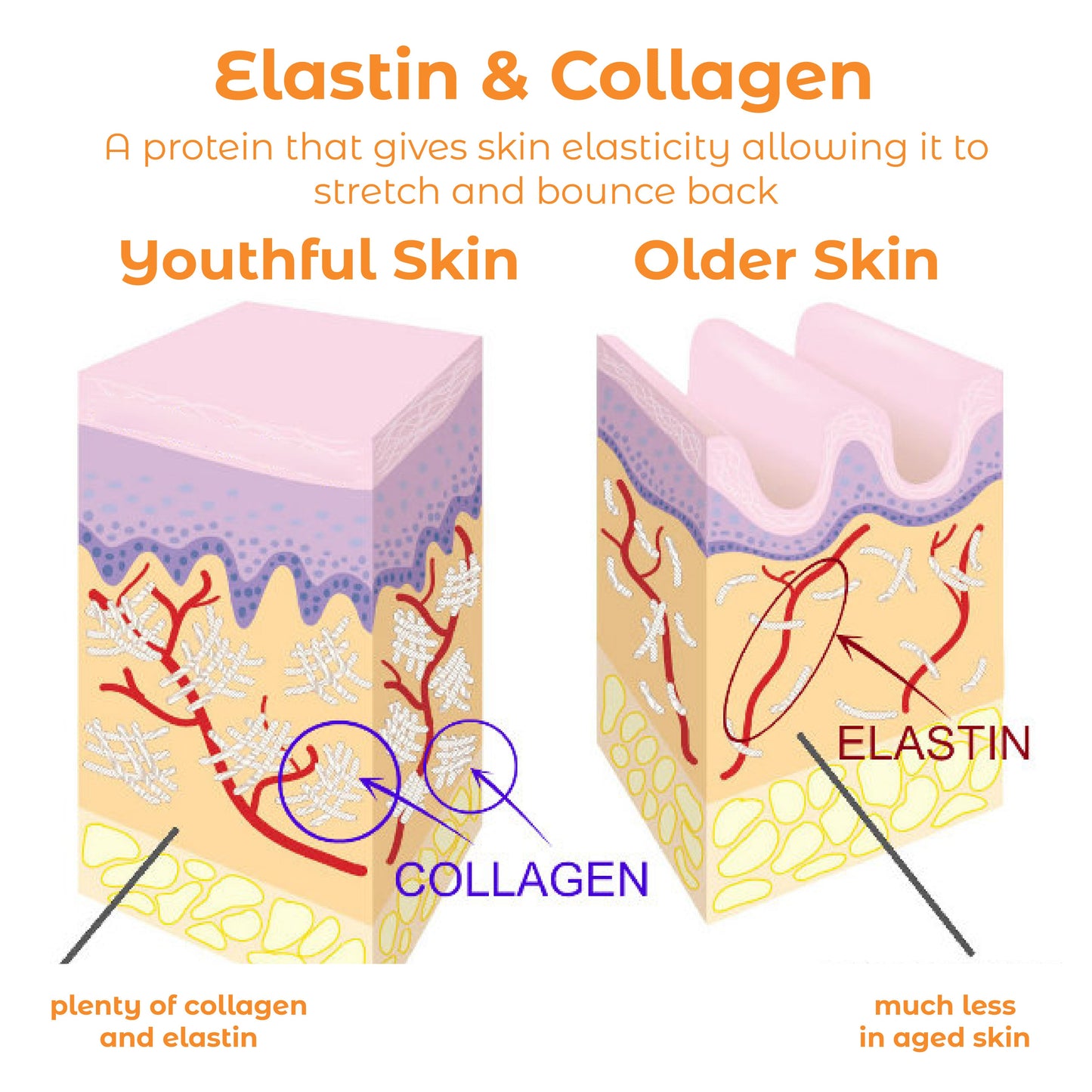 ATTDX Collagen Soluble AntiAging Mask with Spray