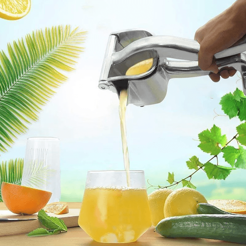 Quick and Easy Fresh Juice Maker