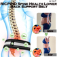 RICPIND 2 Spine Health Lower Back Support Belt