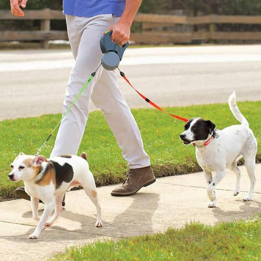 2 in 1 Dog Leash