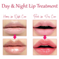 ATTDX Day&Night Honey Moisturizing Lip Oil