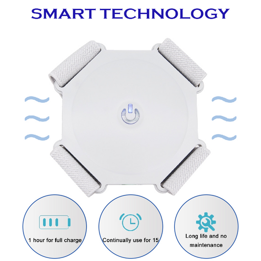 Ricpind EMS Intelligent PostureTrainer Device